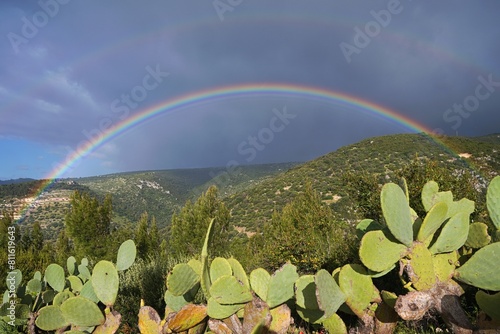 Rainbow over Gargano. Gargano landscape with cacti in the foreground and a rainbow in the sky. photo