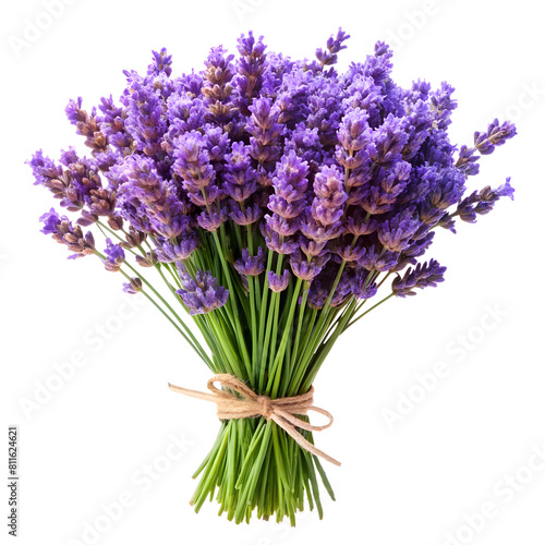 Close-up Isolated Flowers