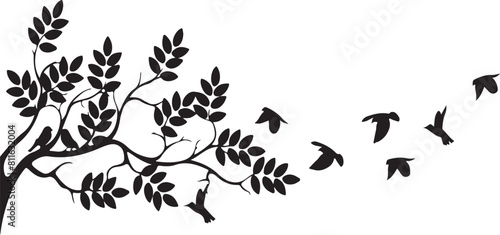 set of silhouettes of animals set of silhouettes of birds silhouettes of birds  bird  silhouette  flying  vector  animal  black  nature  illustration  wings  fly  birds  eagle  wing  white  flight  is