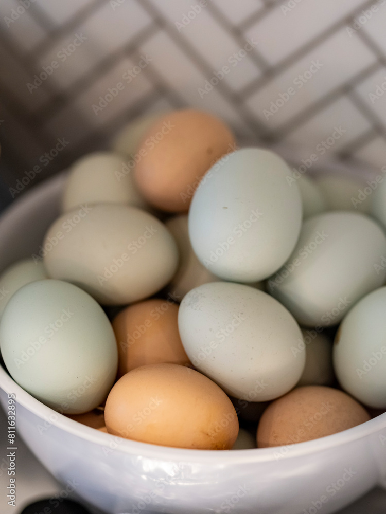eggs in a bowl eggs in a bowl