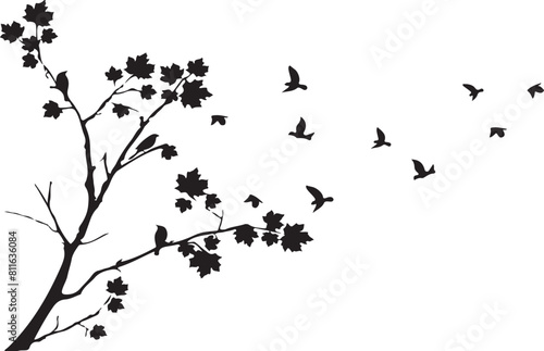 silhouettes of birds silhouette of a bird bird  silhouette  vector  birds  flying  animal  illustration  nature  fly  wings  black  wild  wildlife  wing  set  flight  sparrow  crow  animals  pigeon  d