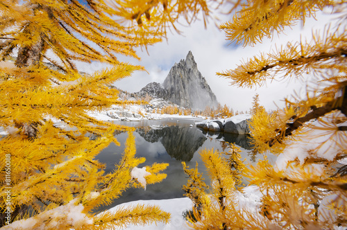 The jagged spire of Prusik Peak and yellow larches of autumn ref photo