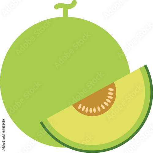 Melon Flat Illustration