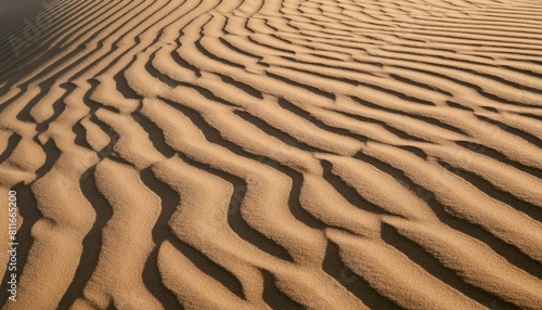 sand texture, highlighting its unique patterns and textures. Background