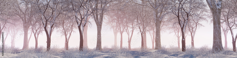 Winter Woodland with Snow covered Trees in a Pale Mist. Seasonal Banner. Winter Woodland with Snow covered Trees in a Pale Mist. Seasonal Banner.