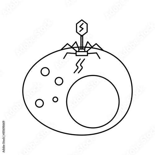 Illustration of bacteriophage virus infecting bacteria cell icon vector