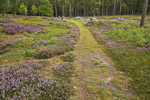 Archeological site Blomsholm in Sweden, Europe
 photo