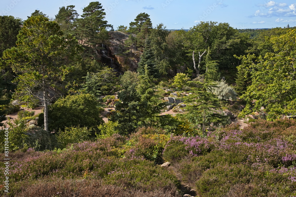 Obraz premium Botanical garden in Göteborg, Sweden, Europe 