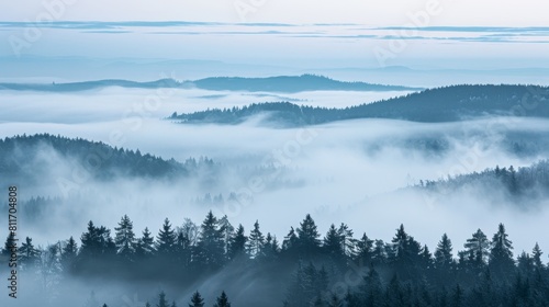 Misty morning in silesian beskydy mountains silhouetted spruce forest emerges from fog
