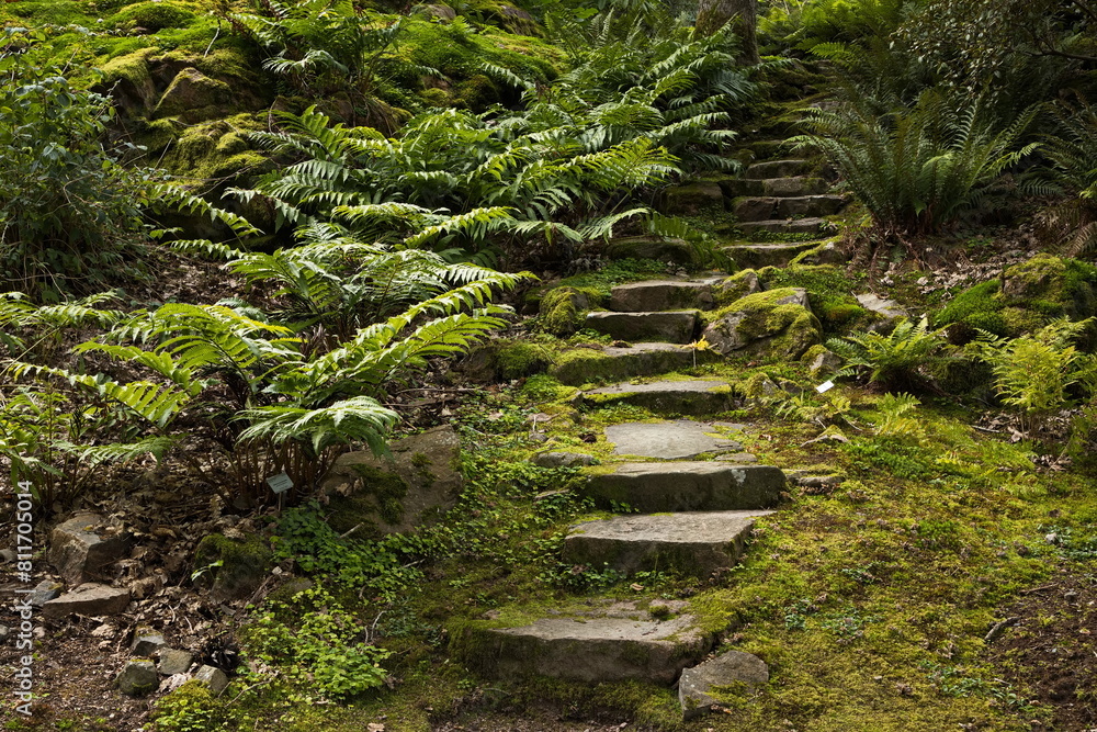 Fototapeta premium Footpath in botanical garden in Göteborg, Sweden, Europe 