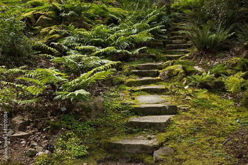 Footpath in botanical garden in Göteborg, Sweden, Europe 