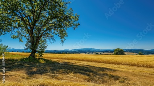 Scenic summer landscapes under a clear blue sky