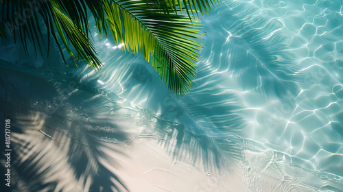 Tropical leaf shadow over the sea surface