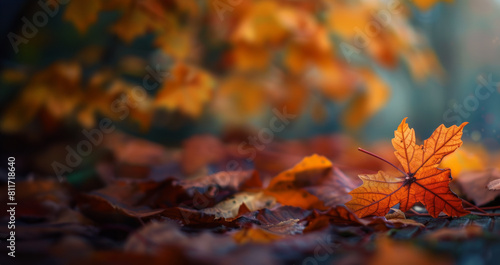 Autumn leaves on the ground. Beautiful fall colors in the forest. Defocused image  bokeh background.