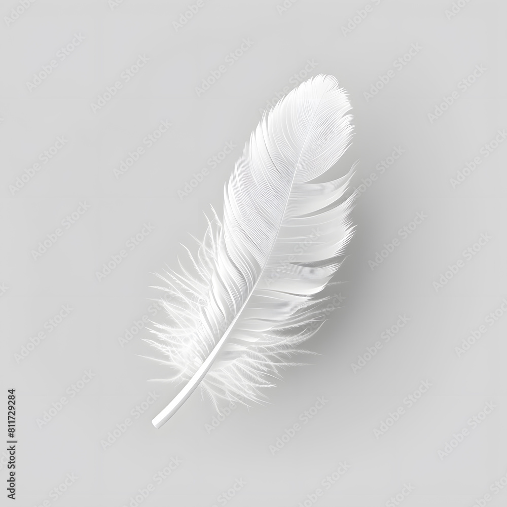 Obraz premium White fluffy feather isolated on light grey background