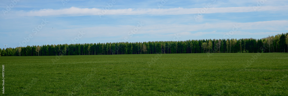Obraz premium Beautiful smooth row of green trees. Panorama. There are trees at the edge of the field on sky background. Green plants frame large agricultural fields. Header. Horizon. 