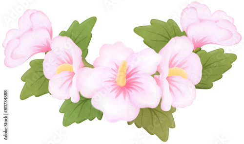 Fotografía rose of sharon