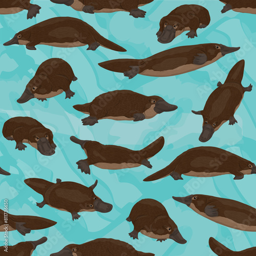Seamless pattern with duck-billed platypus. Endemic species of Australia and Tasmania. Realistic vector pattern photo