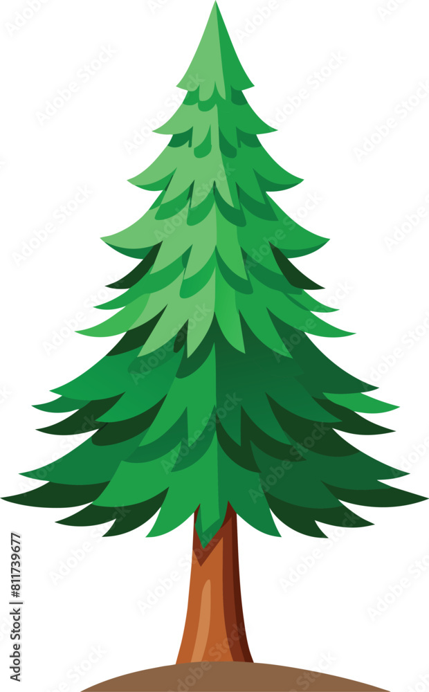 pine tree vector illustration, christmas tree pine tree vector illustration, christmas tree