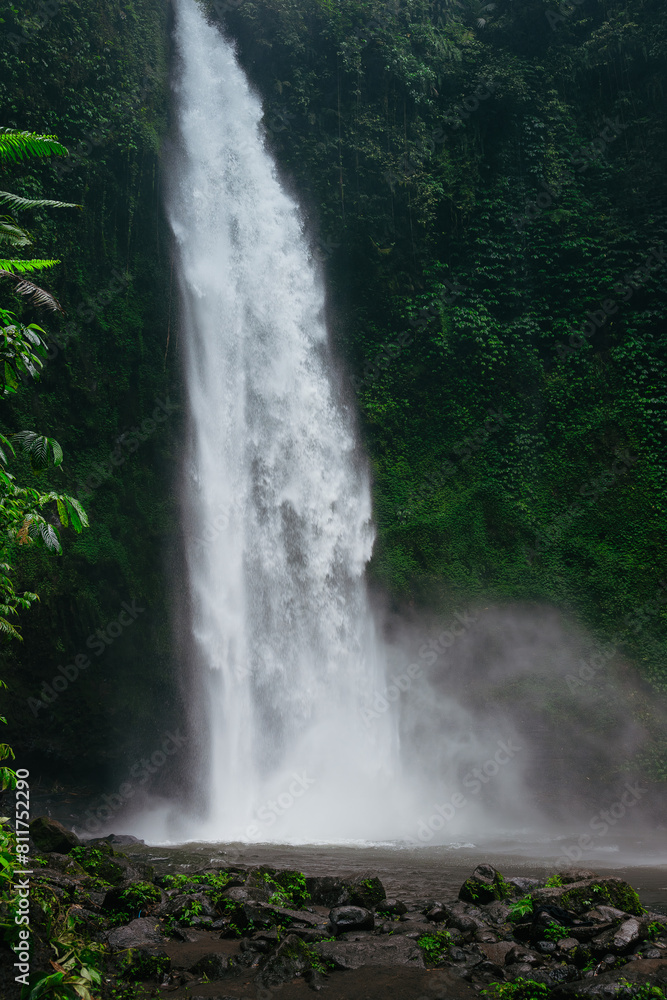 NungNung waterfall in the forest jungle, Bali, Indonesia NungNung waterfall in the forest jungle, Bali, Indonesia