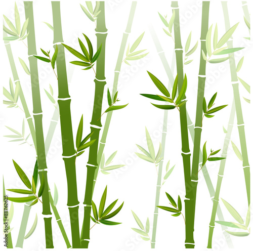 Green bamboo trees. Bamboo stems with leaves on white background. Vector illustration