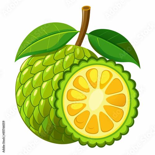 Bild auf Leinwand jackfruit vector illustration