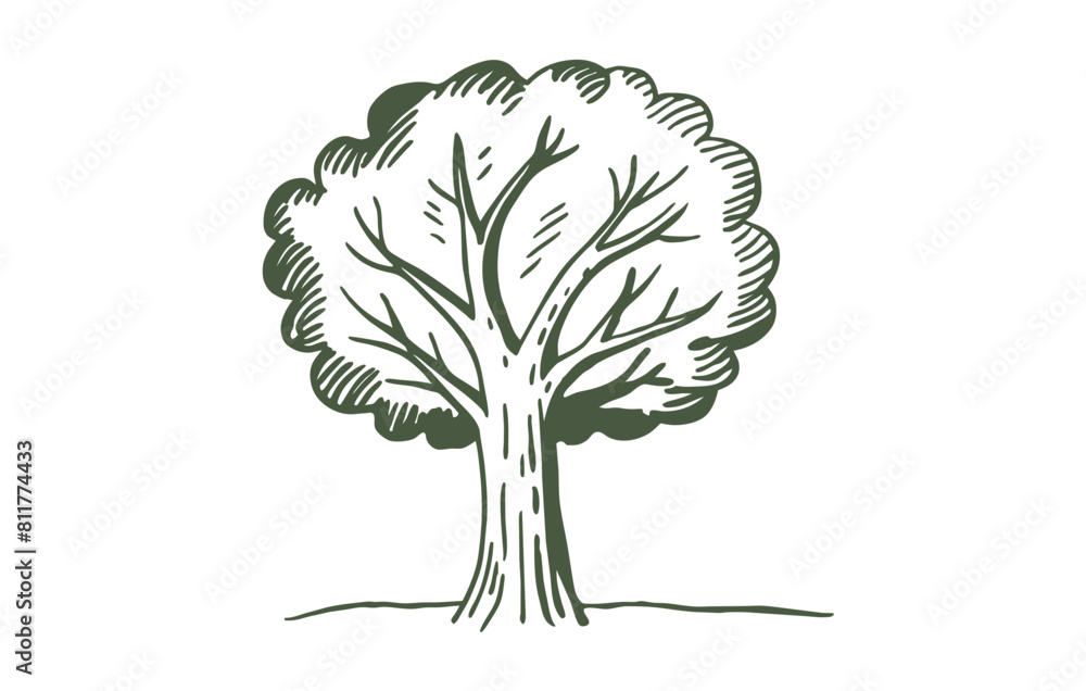 Obraz premium Oak tree doodle engraved style, vector illustration
