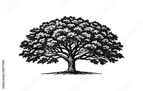 Black and white tree in woodcut engraving style, vector illustration