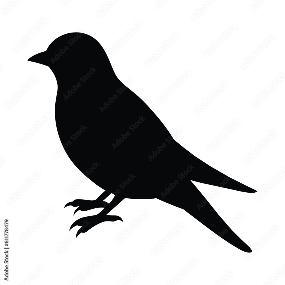 silhouette of a swift bird silhouette of a swift bird