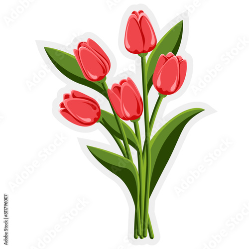 Tulip. Bouquet of five tulips. Perennial flower. Spring Summer. The stems are broad-leaved. Close-up. White background. Used for collages and stickers in web design, for cards and congratulations.