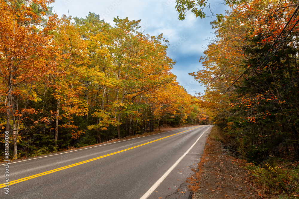 Scenic view of a road with trees with the Autumn colors foliage in the State of Maine, USA. Scenic view of a road with trees with the Autumn colors foliage in the State of Maine, USA.