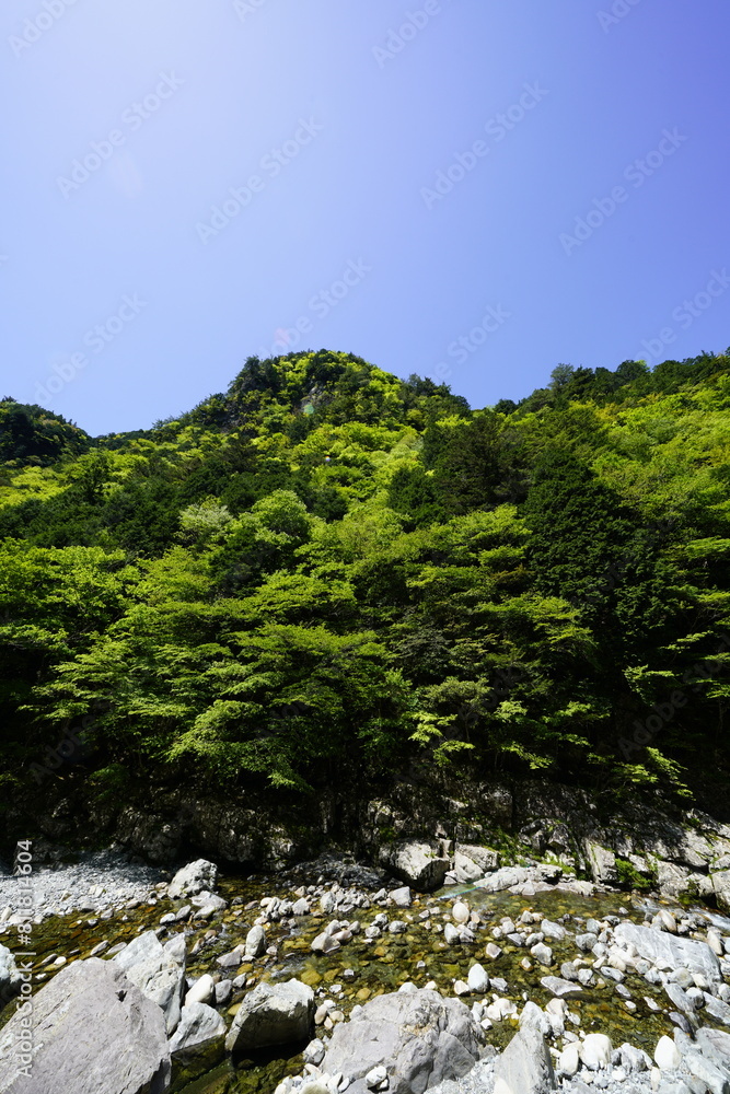 天川村川迫川渓谷の新緑と青空と川の流れ