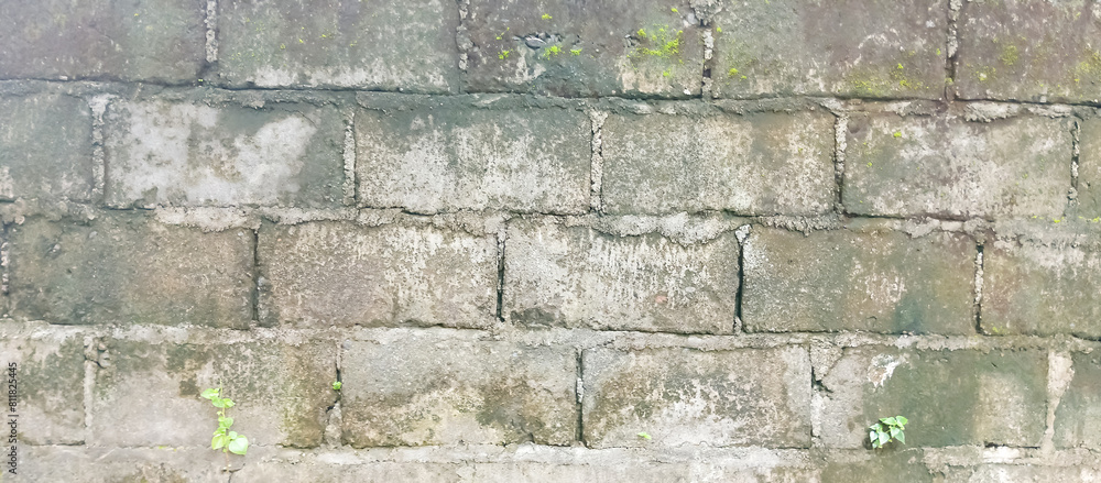 The texture of the walls of the house The texture of the walls of the house