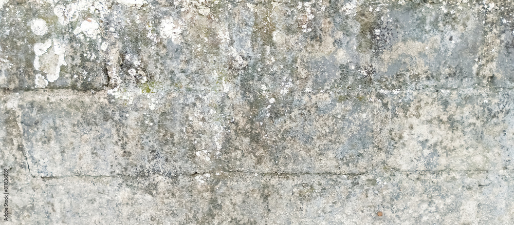 The cement wall of the old house The cement wall of the old house