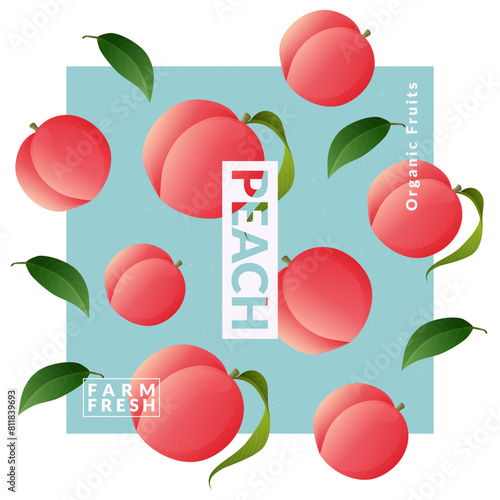 Peach packaging design templates. Modern style vector illustration.
