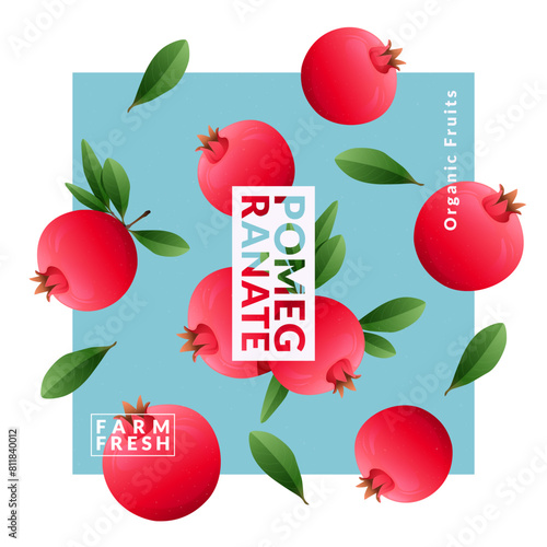 Pomegranate packaging design templates. Modern style vector illustration.