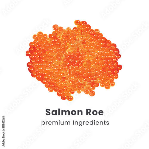 Hand drawn vector illustration of salmon roe or red salmon caviar