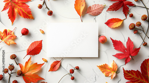 Beautiful autumn composition with blank card on white