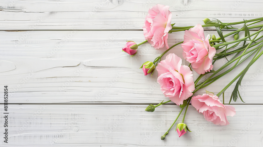 Beautiful pink eustoma flowers on white wooden background