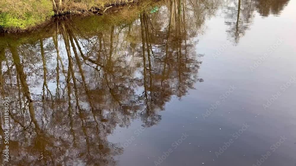 The reflection of spring trees on the river water surface. The reflection of spring trees on the river water surface.