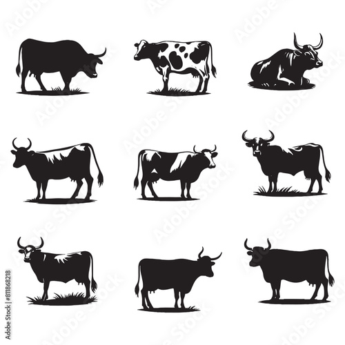 set of cows silhouettes on white	