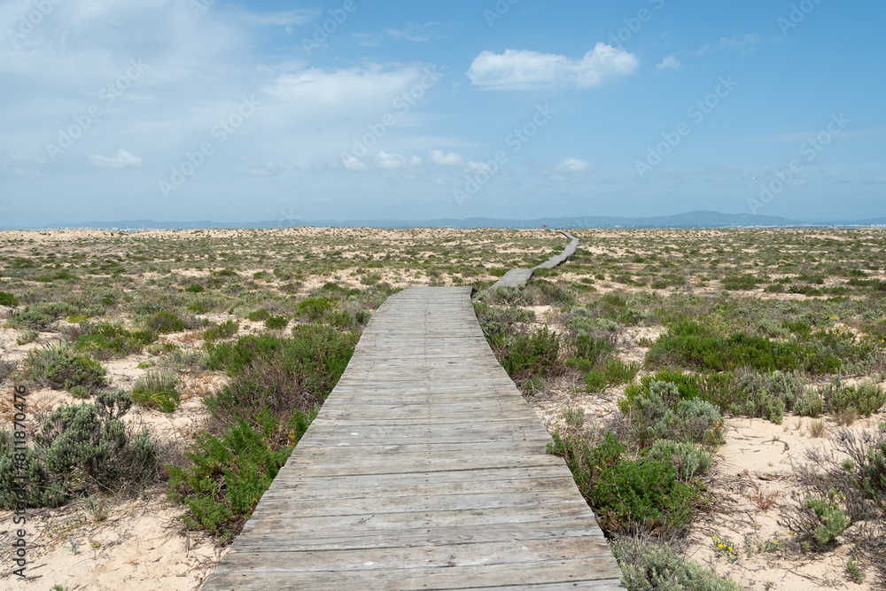 Ilha Deserta Algarve Portugal