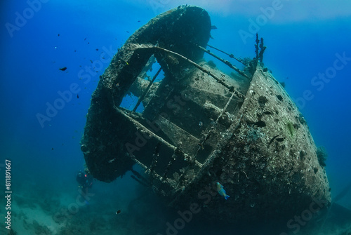 The enigmatic Thistlegorm shipwreck rests silently on the ocean floor, its rusting hull now a complex habitat for marine life. 