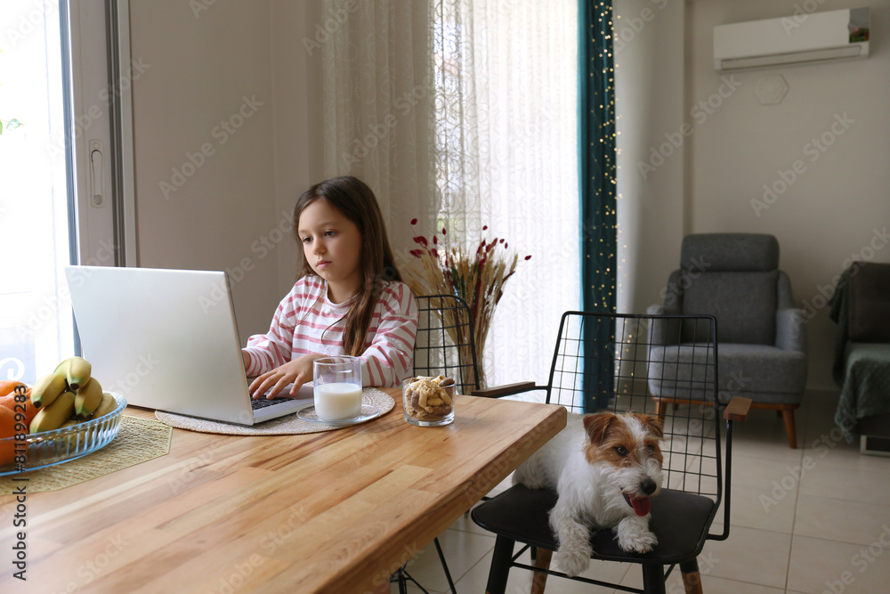 Little girl doing homework on a laptop with wire haired jack russell ...