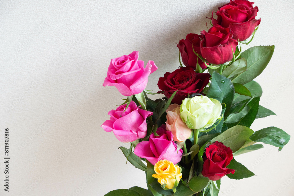 色とりどりのバラ