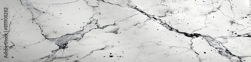 Exquisite Marble Texture with Intricate Patterns and Sleek Monochromatic Design for Luxurious Backgrounds and Premium Imagery