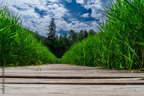  Hiking Arround Lake Montiggler South Tyrol Italy photo