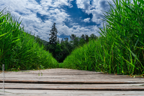  Hiking Arround Lake Montiggler South Tyrol Italy photo