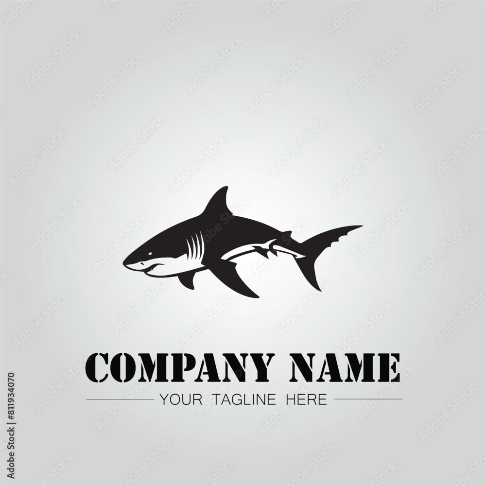 Shark silhouette illustration design for company logo vector image on the white background Shark silhouette illustration design for company logo vector image on the white background