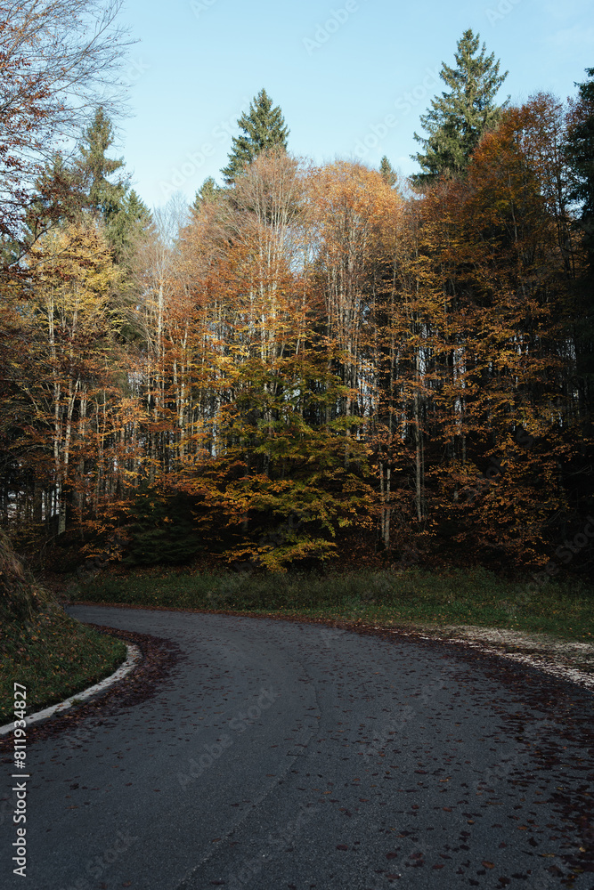 Obraz premium Beautiful autumnal colors in the Cansiglio Forest, in Northern Italy